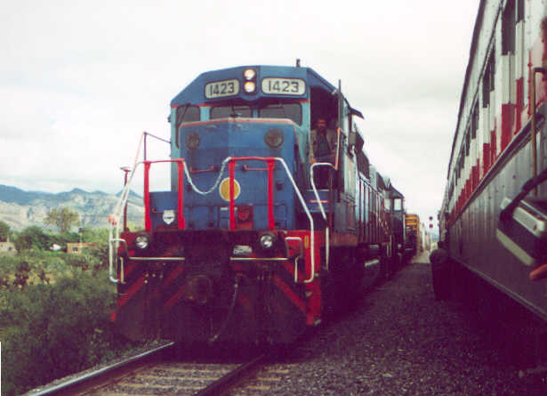1423-13025.jpg